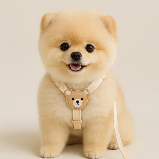 Teddy Bear Dog Harness & Leash Set – XS, S, M