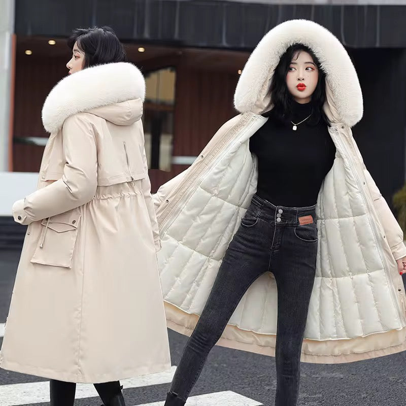Winter Coat